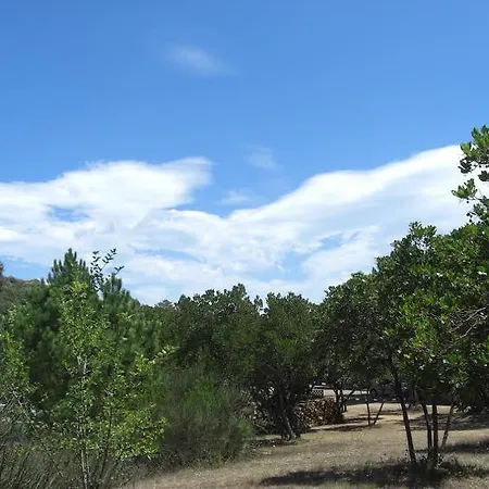 California 营地 Pinarellu