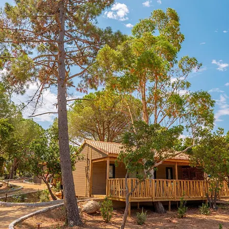 California Κάμπινγκ