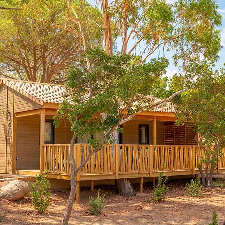 Κάμπινγκ California *