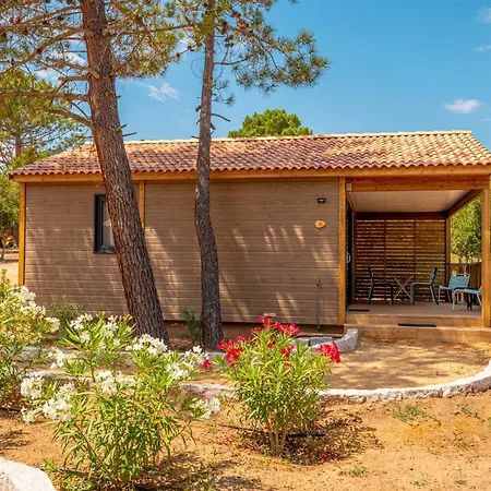 California * Pinarellu