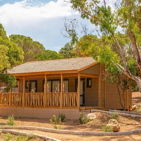 California Pinarellu