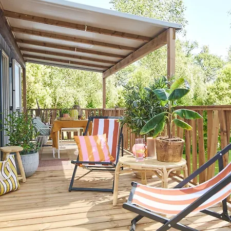 California Pinarellu