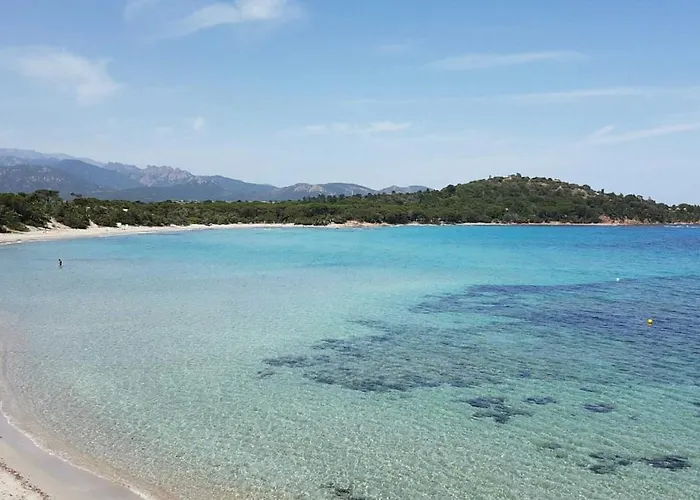 California Pinarellu (Corsica)