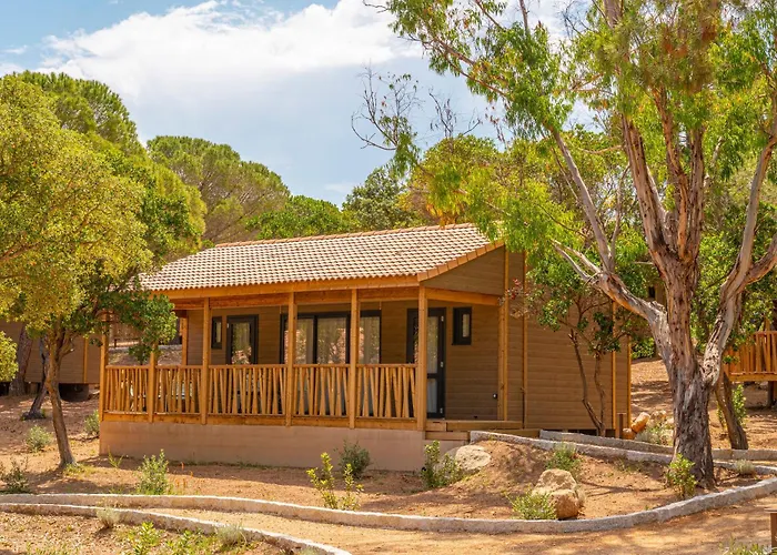 California Pinarellu (Corsica)