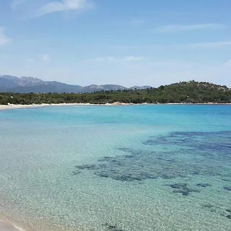 California Pinarellu