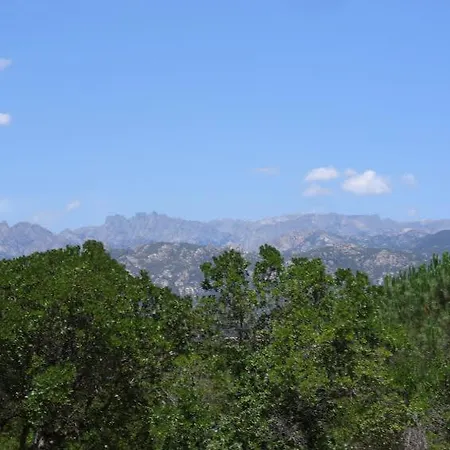 אתר קמפינג California