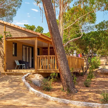 Camping California *