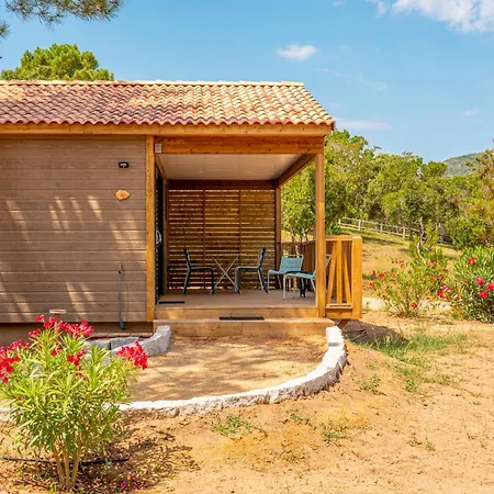 Camping California *