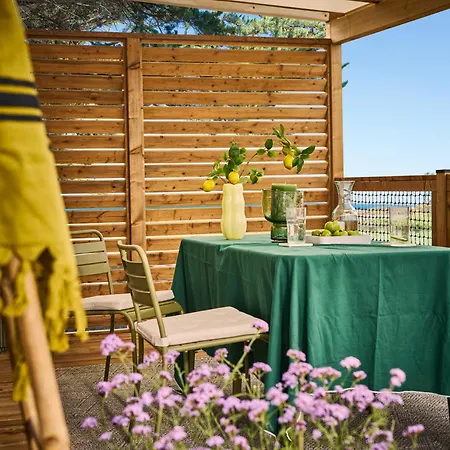 California Pinarellu