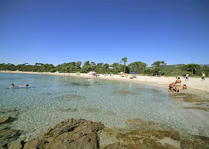 Kamp alanı California