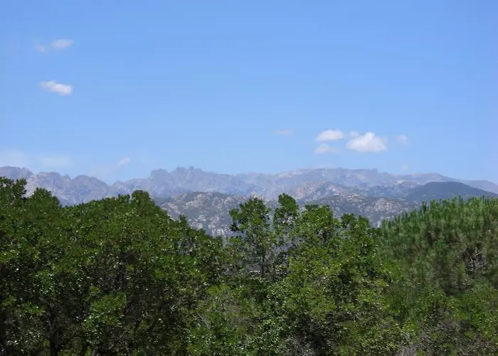 Kamp alanı California