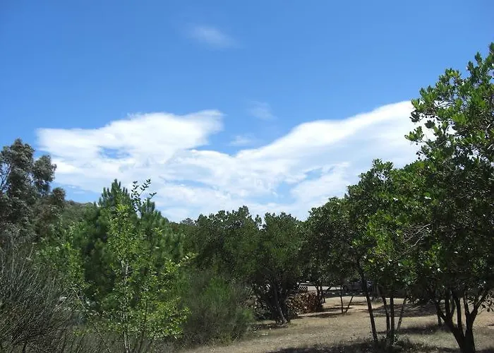 California Kamp alanı Pinarellu