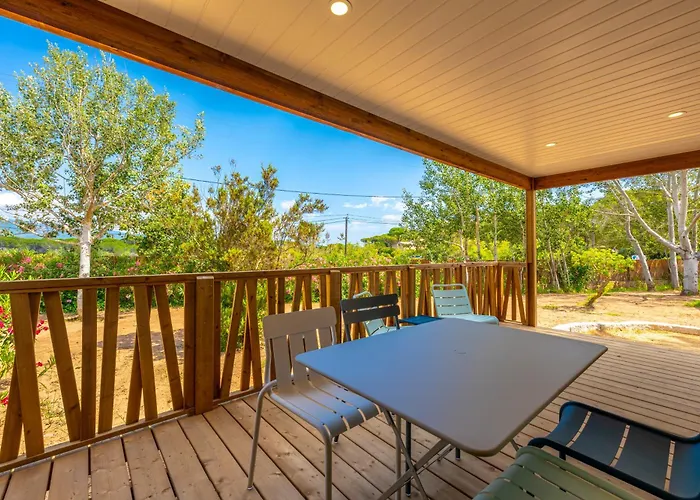 Kamp alanı California