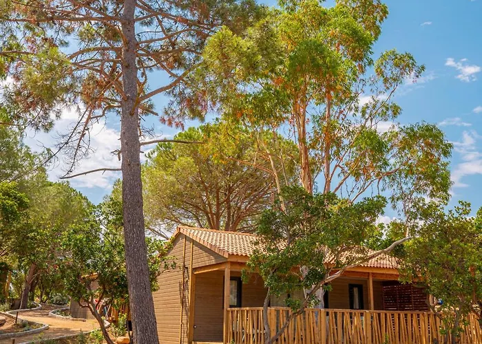 California Kamp alanı