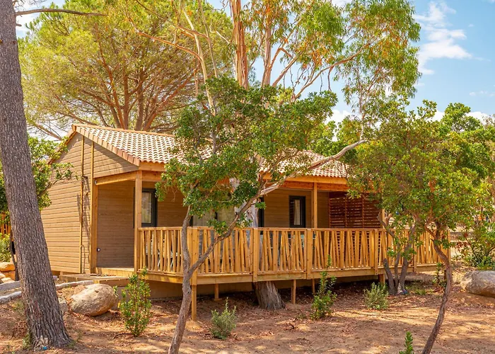 Kamp alanı California *