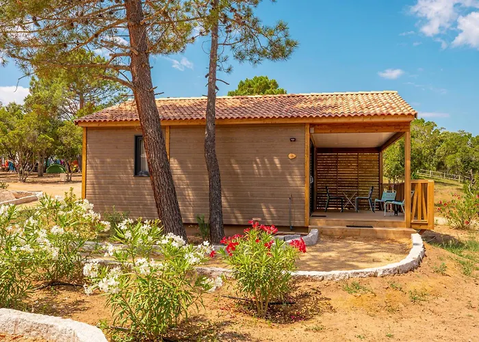 California * Pinarellu