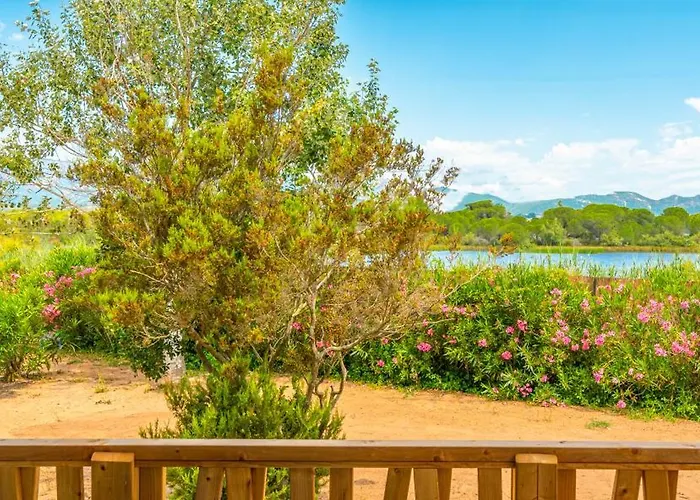 California * Pinarellu