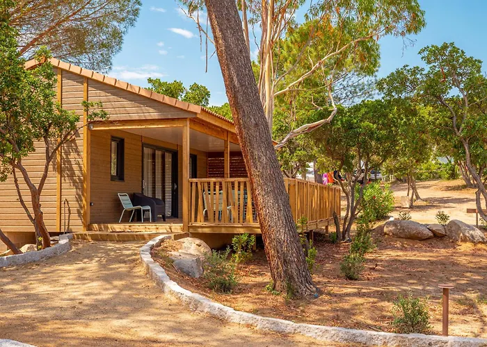 Kamp alanı California *