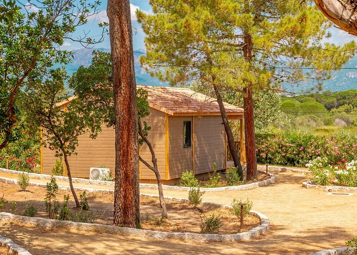 California Kamp alanı